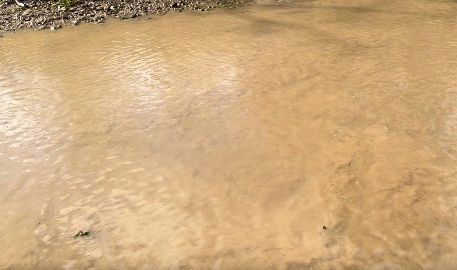 Юлии Кошкиной.