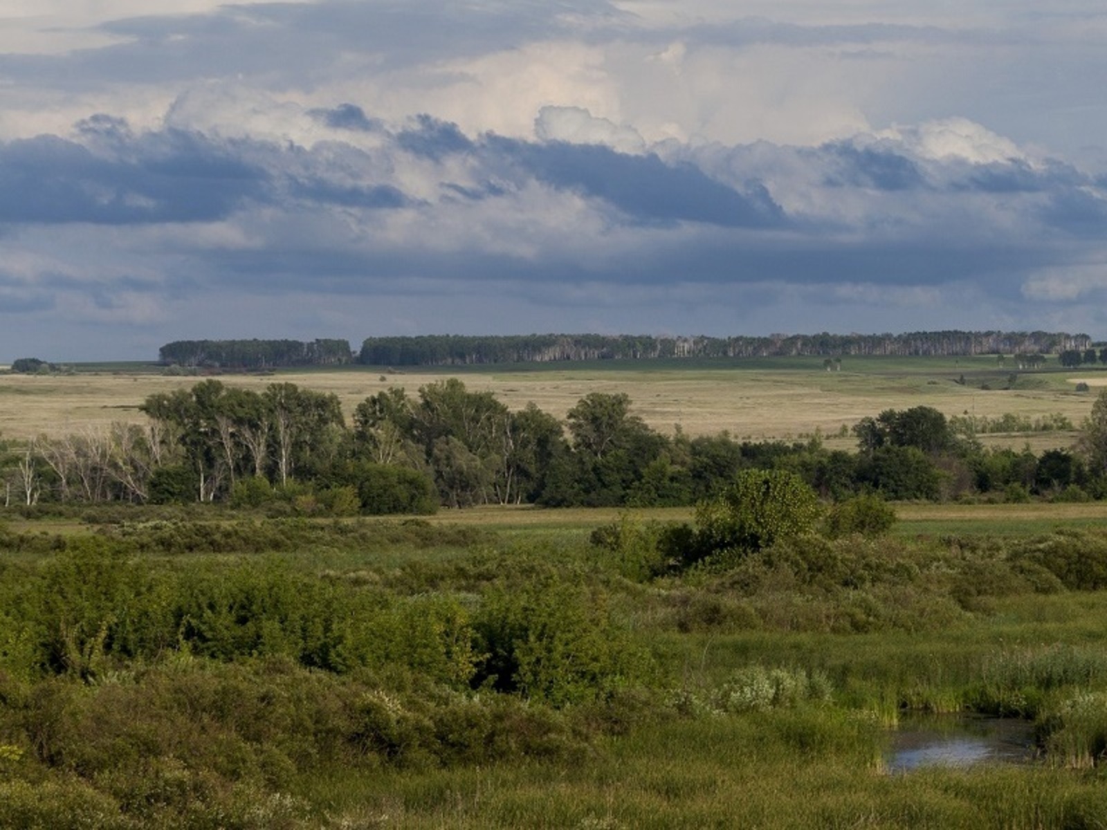 Фото Фаиля Абсатарова.