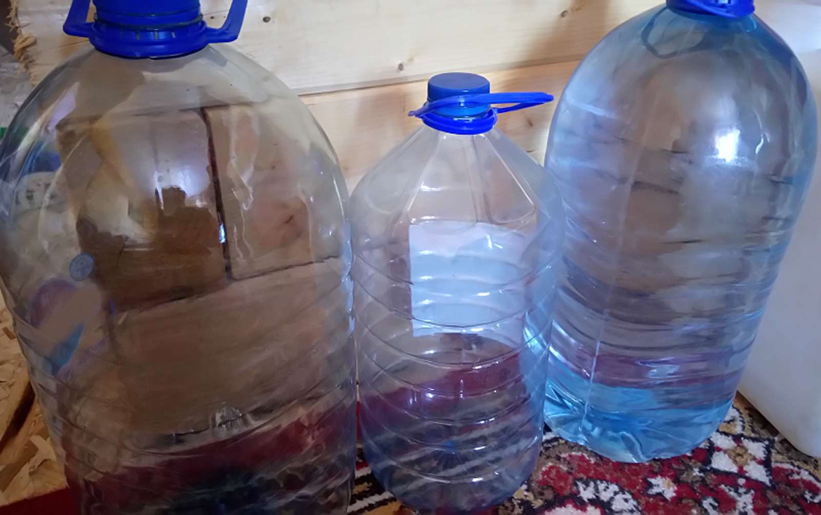 Фото Васили Саитовой.