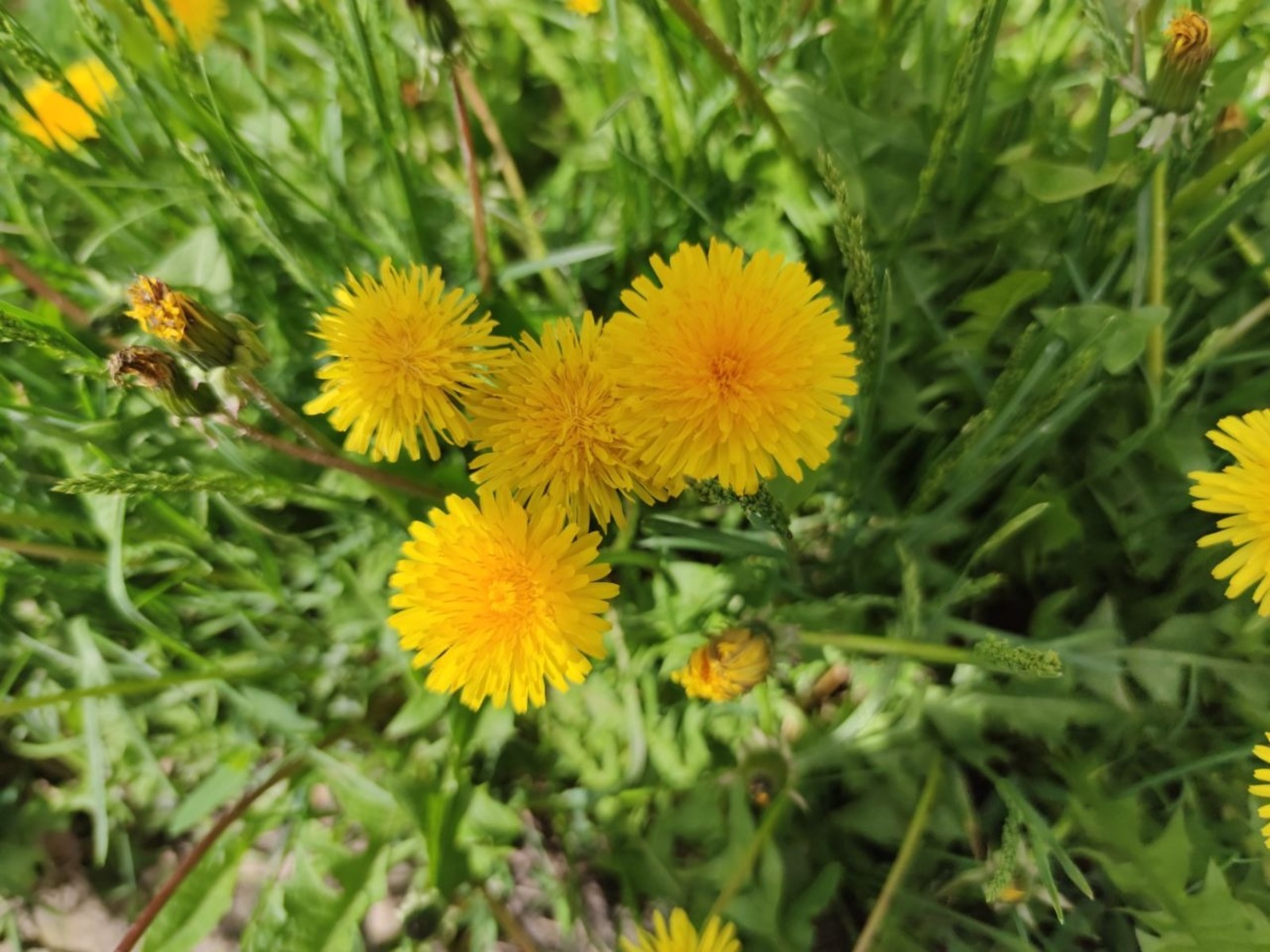 Дарьи Святохиной.