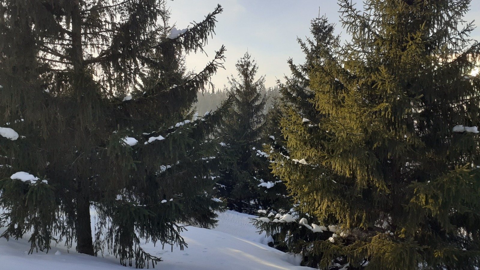 Владимира Шакиева. «Общественная электронная газета».