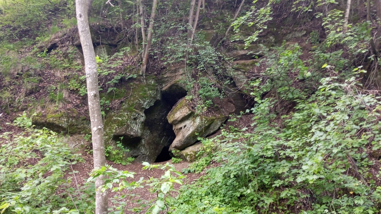 Евгении Сюткиной.