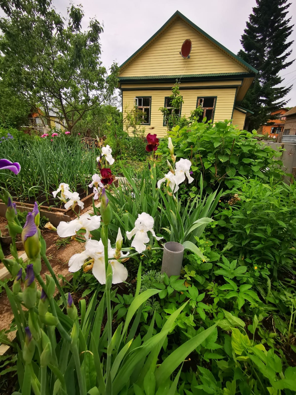 Любови Колоколовой. «Общественная электронная газета».
