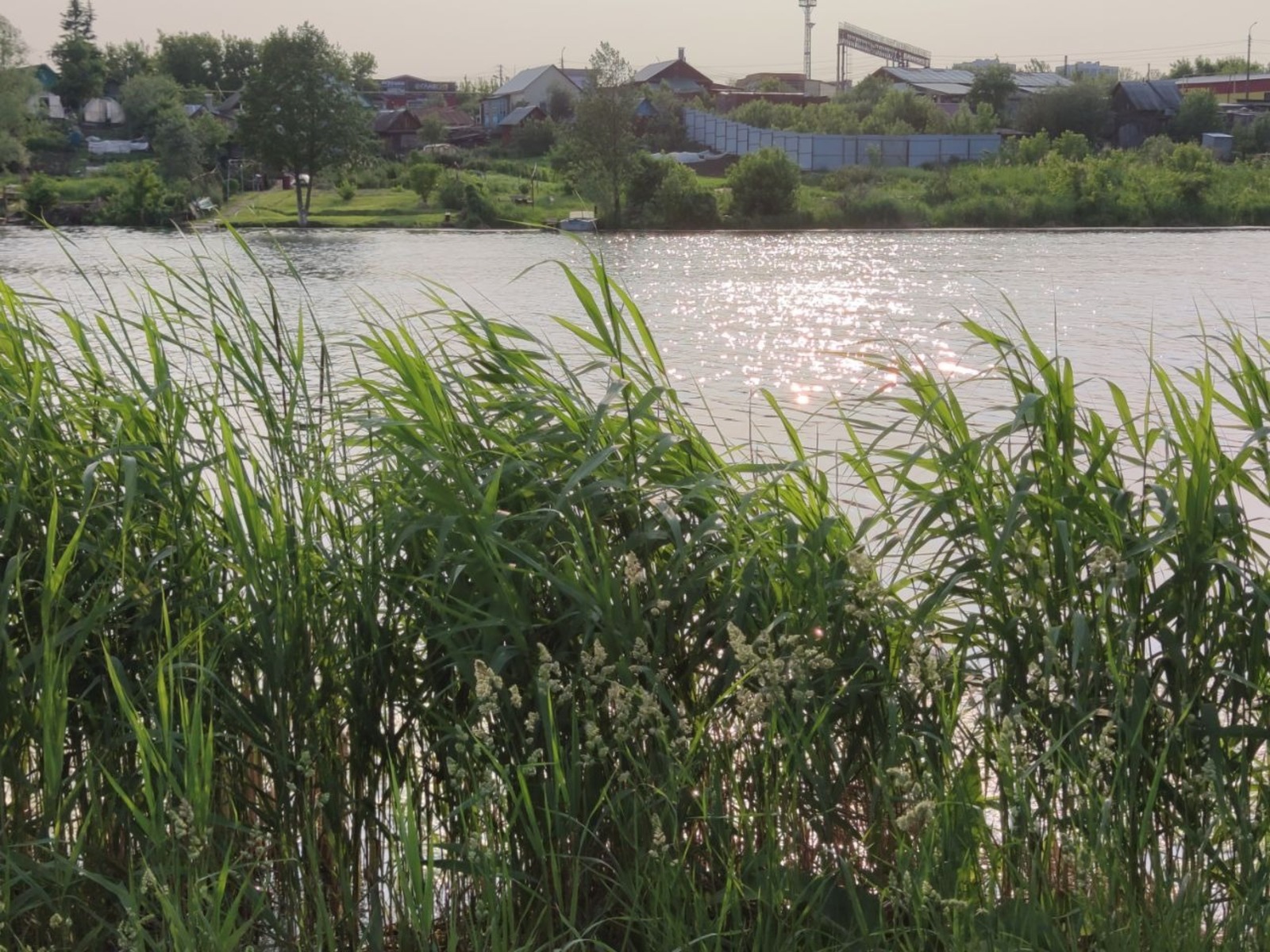 Дарьи Святохиной.