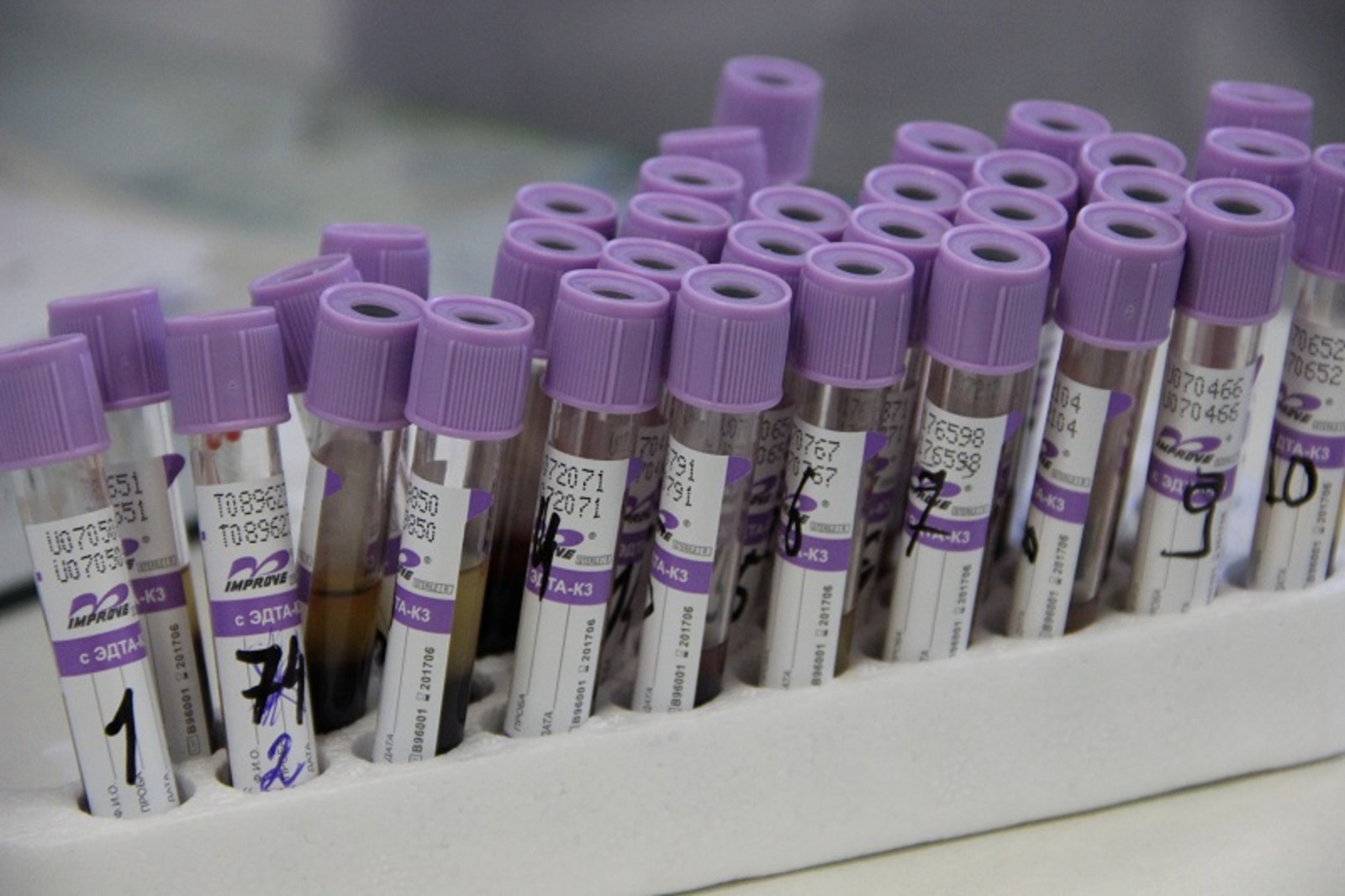 Фото ИА «Башинформ».