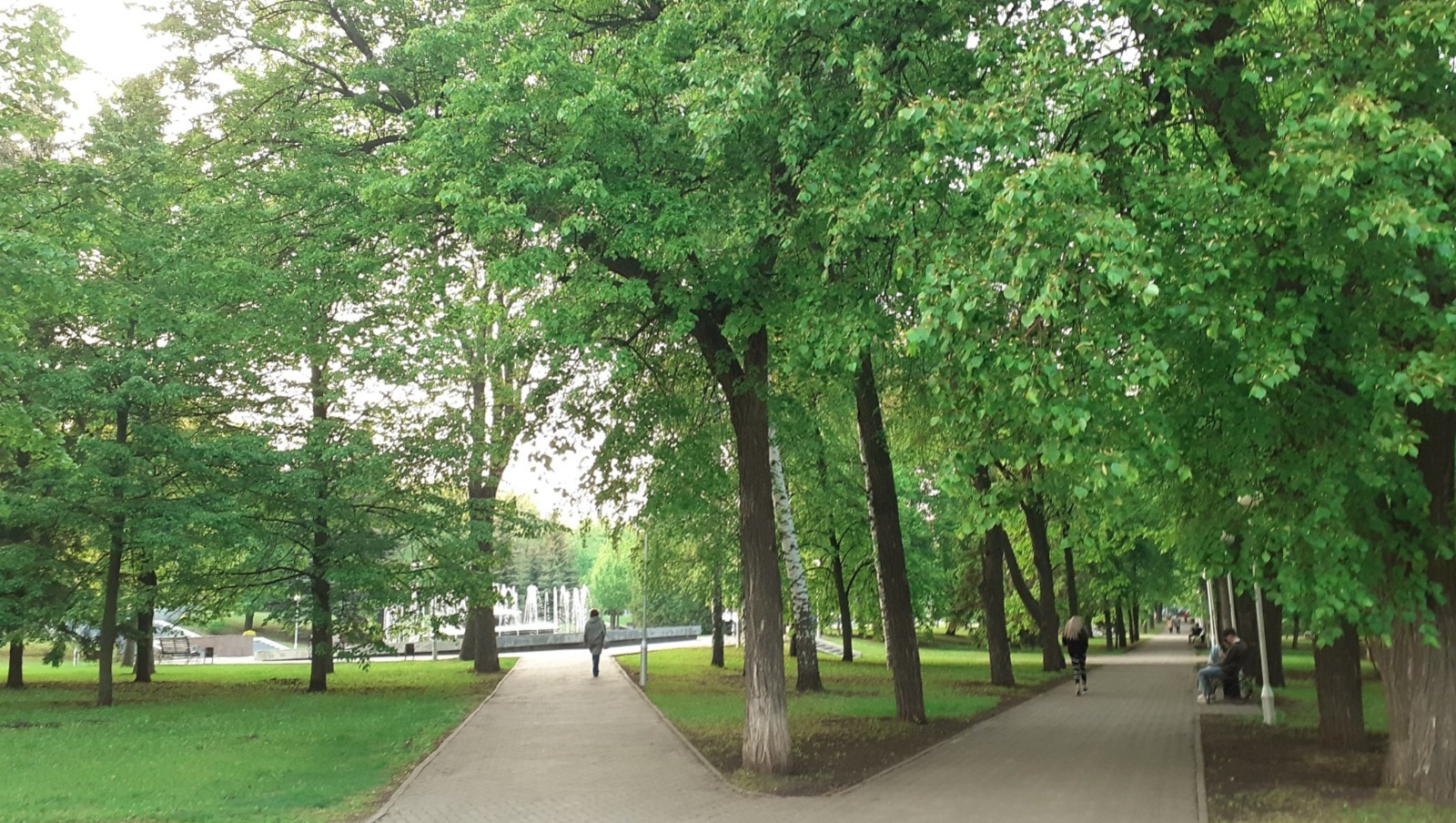 Владимира Шакиева.