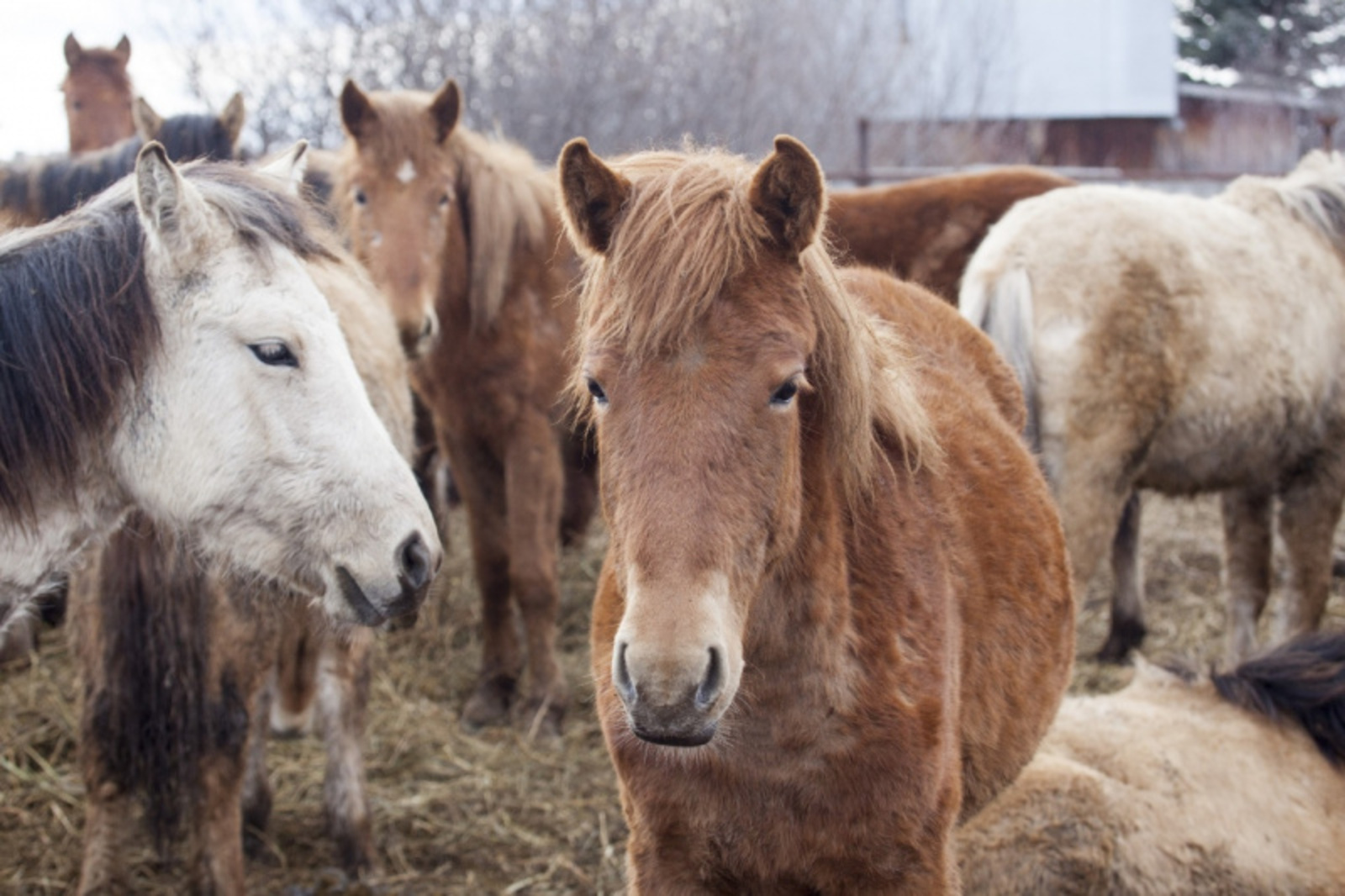 Фото Фаиля Абсатарова.