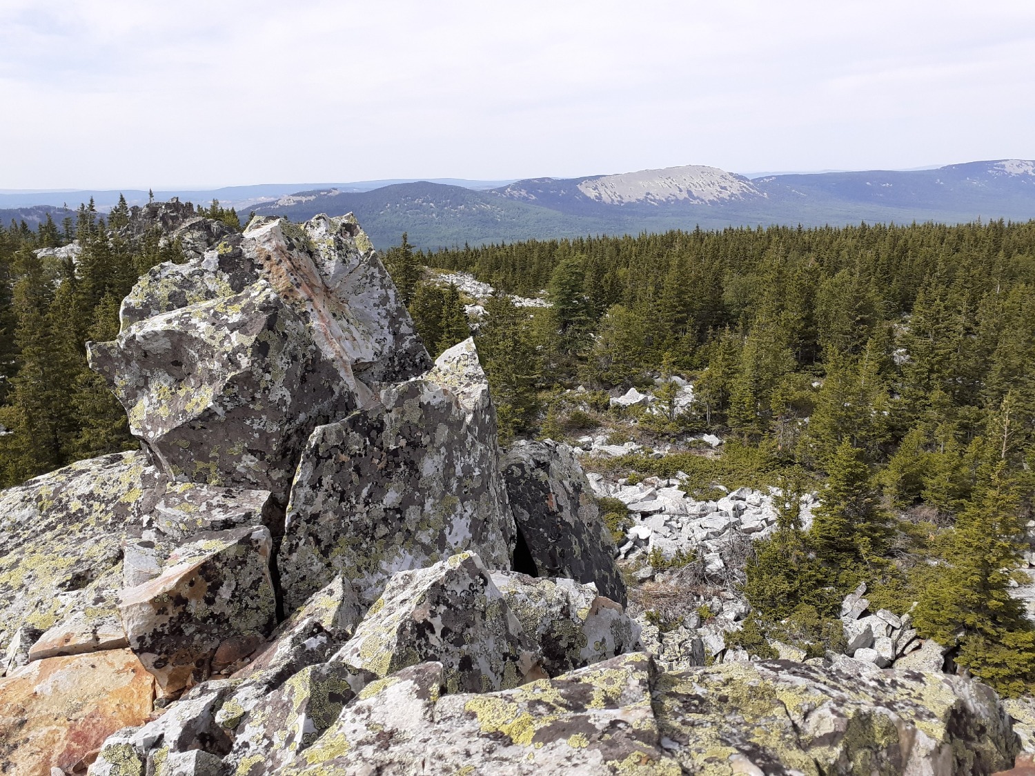 Владимира Шакиева.