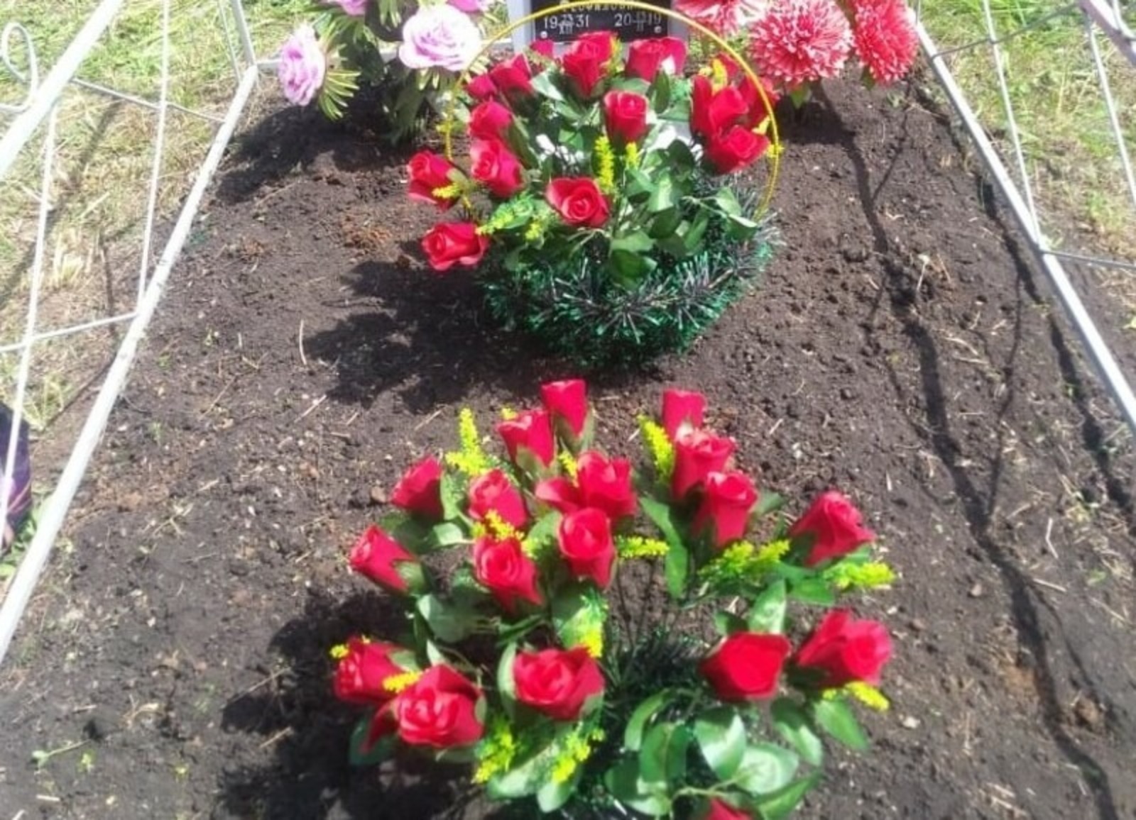 Евгении Сюткиной. «Общественная электронная газета».