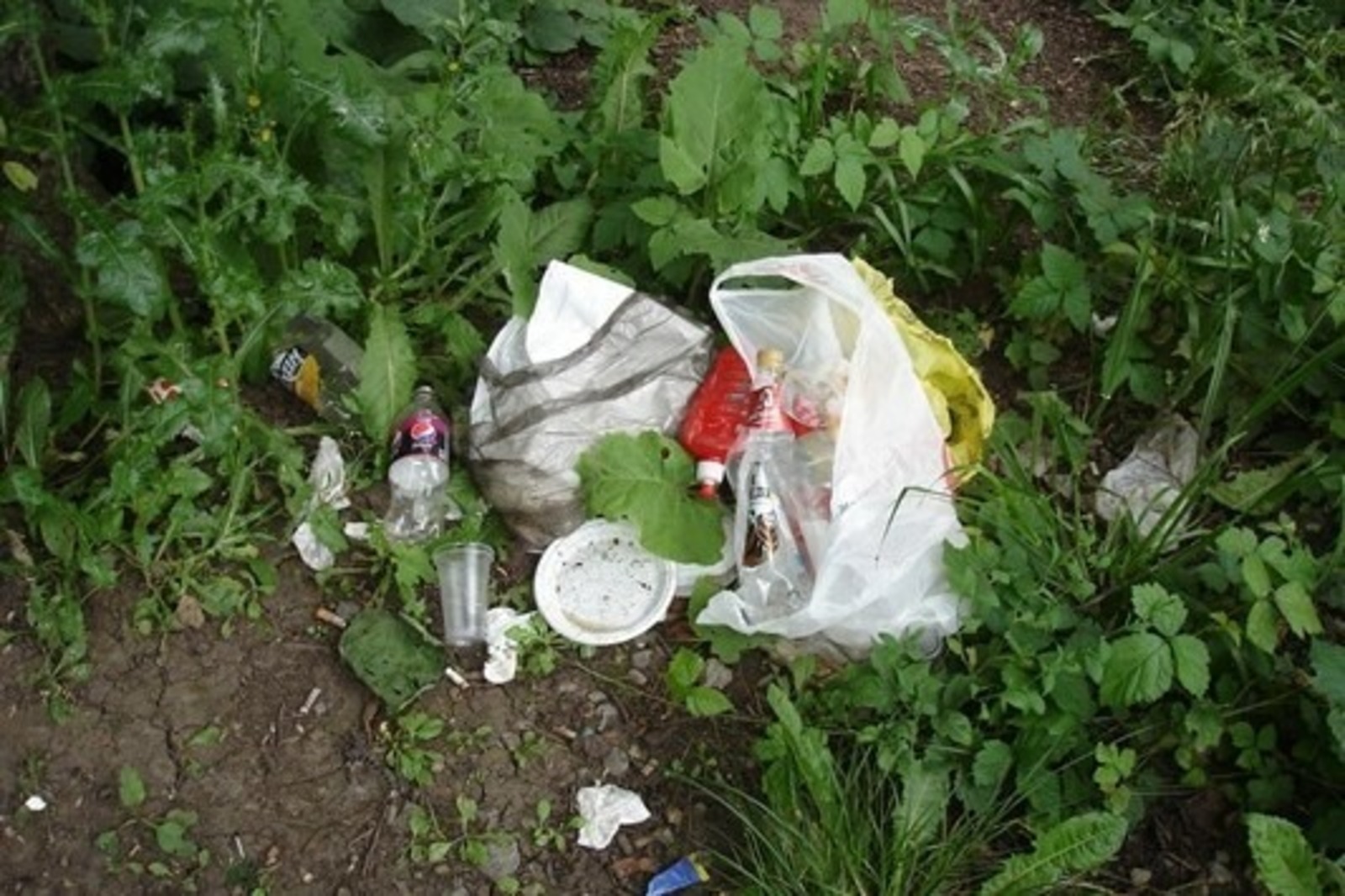 Дарьи Святохиной.