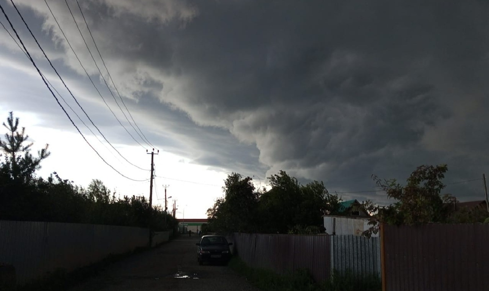 Евгении Сюткиной.