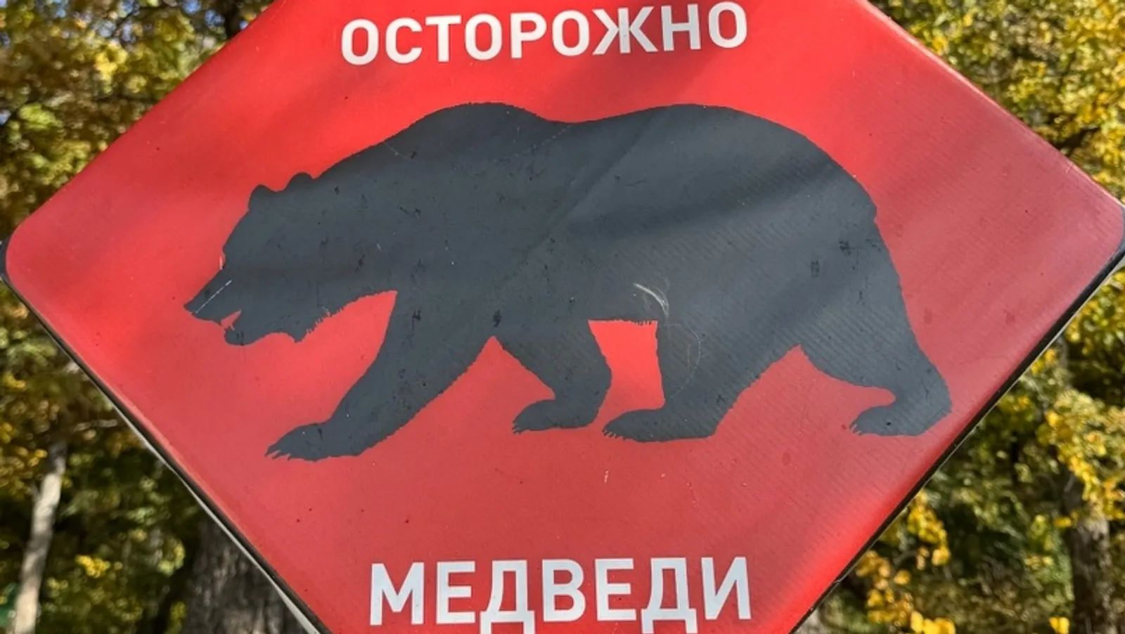 Елены Колоколовой. «Общественная электронная газета».