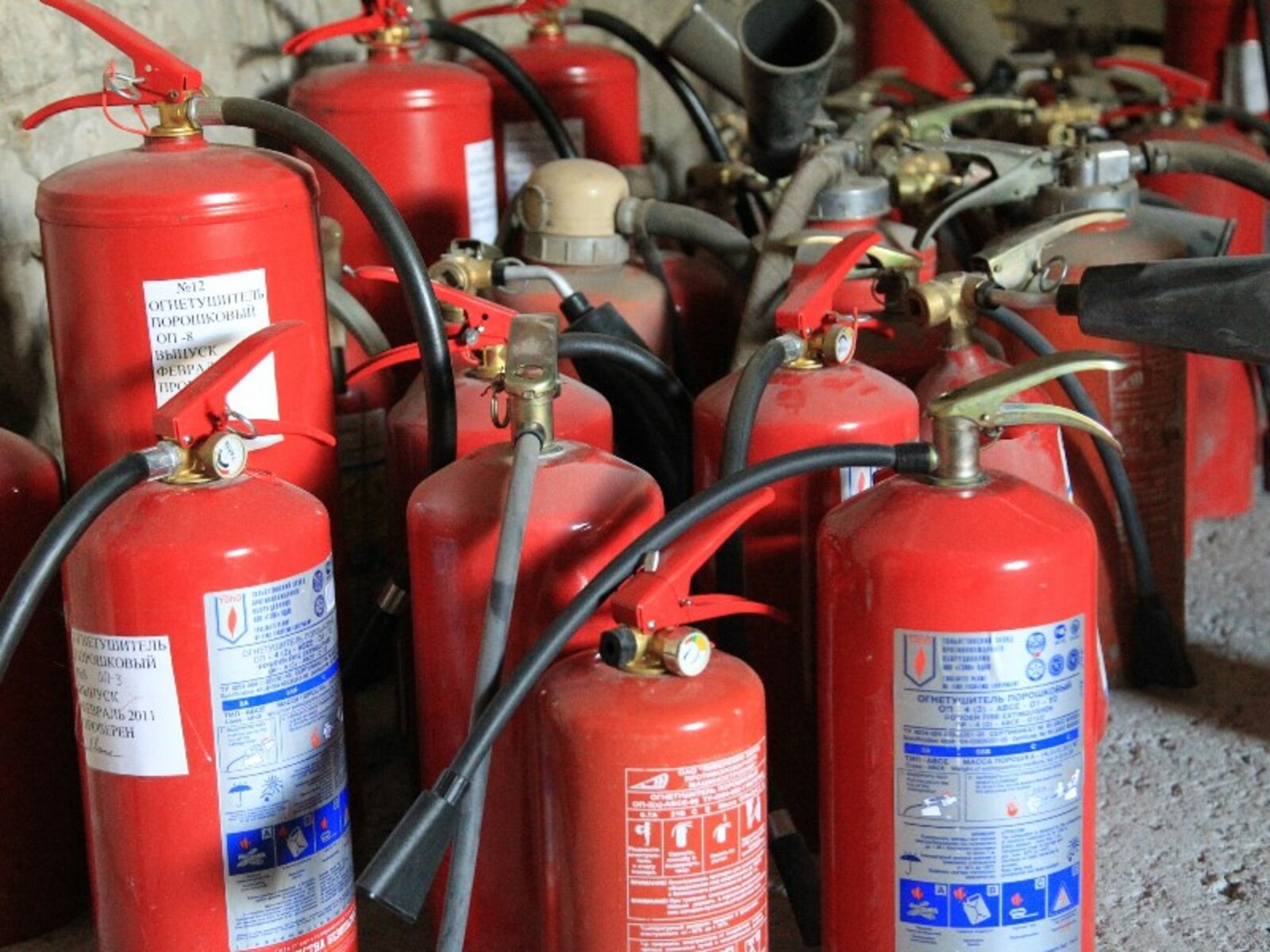 Фото Олега Яровикова.