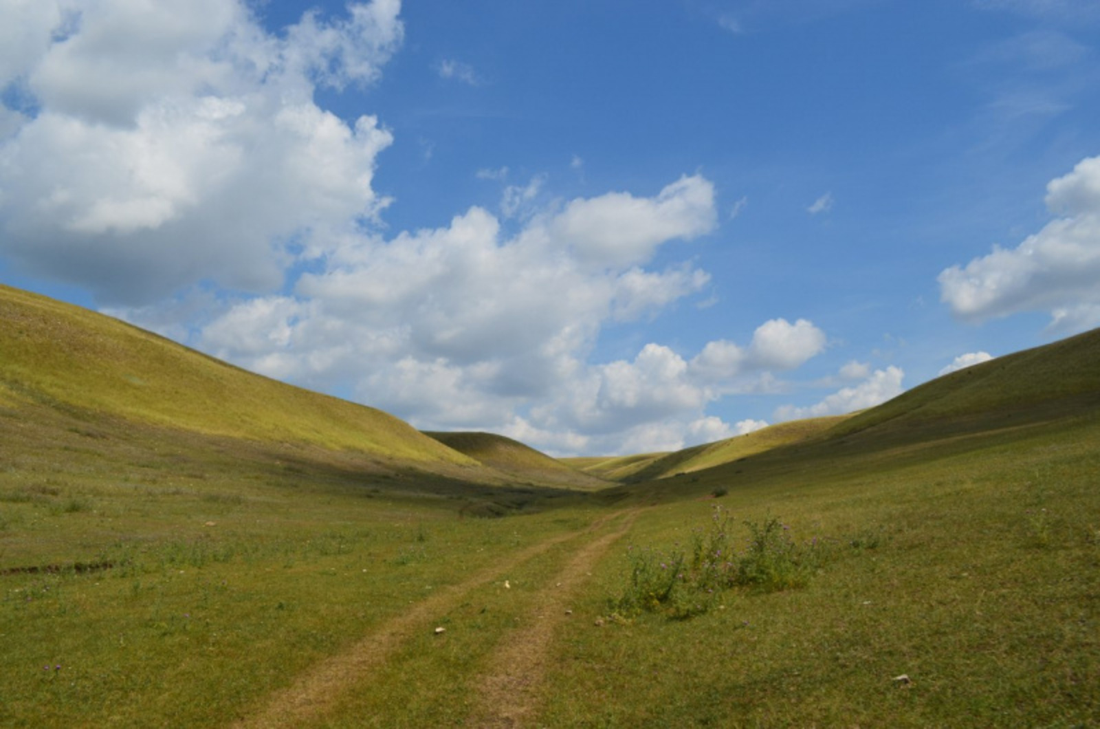 Фото автора.