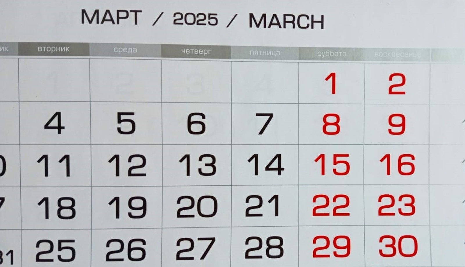 Евгении Сюткиной.