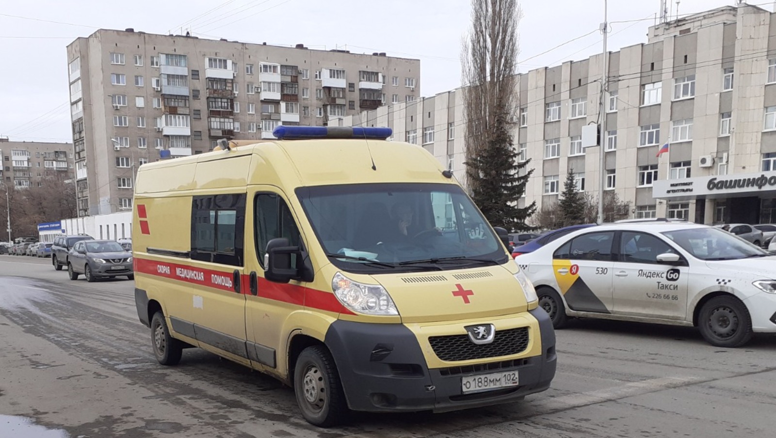 Владимира Шакиева.