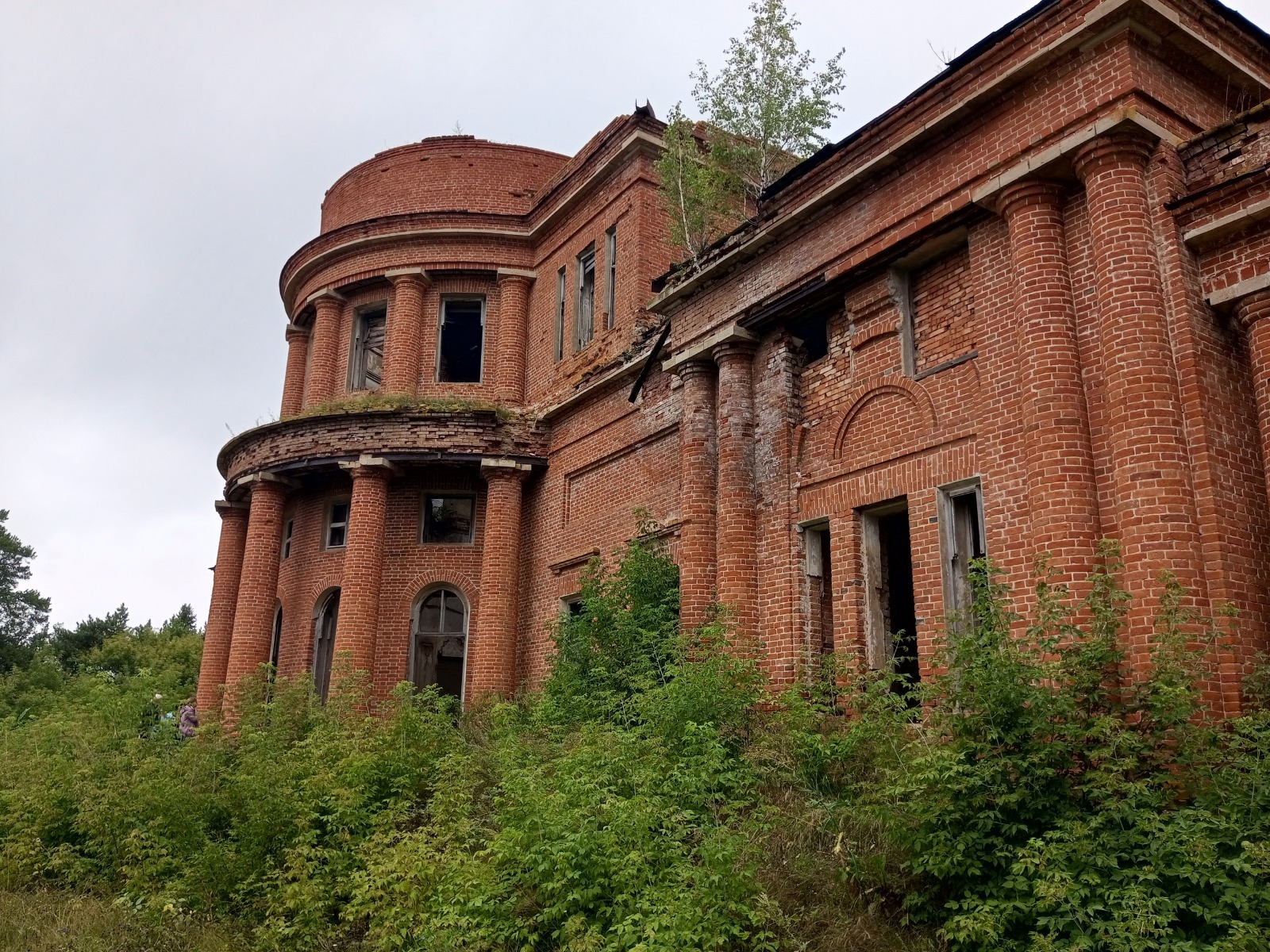 Евгении Сюткиной. «Общественная электронная газета».