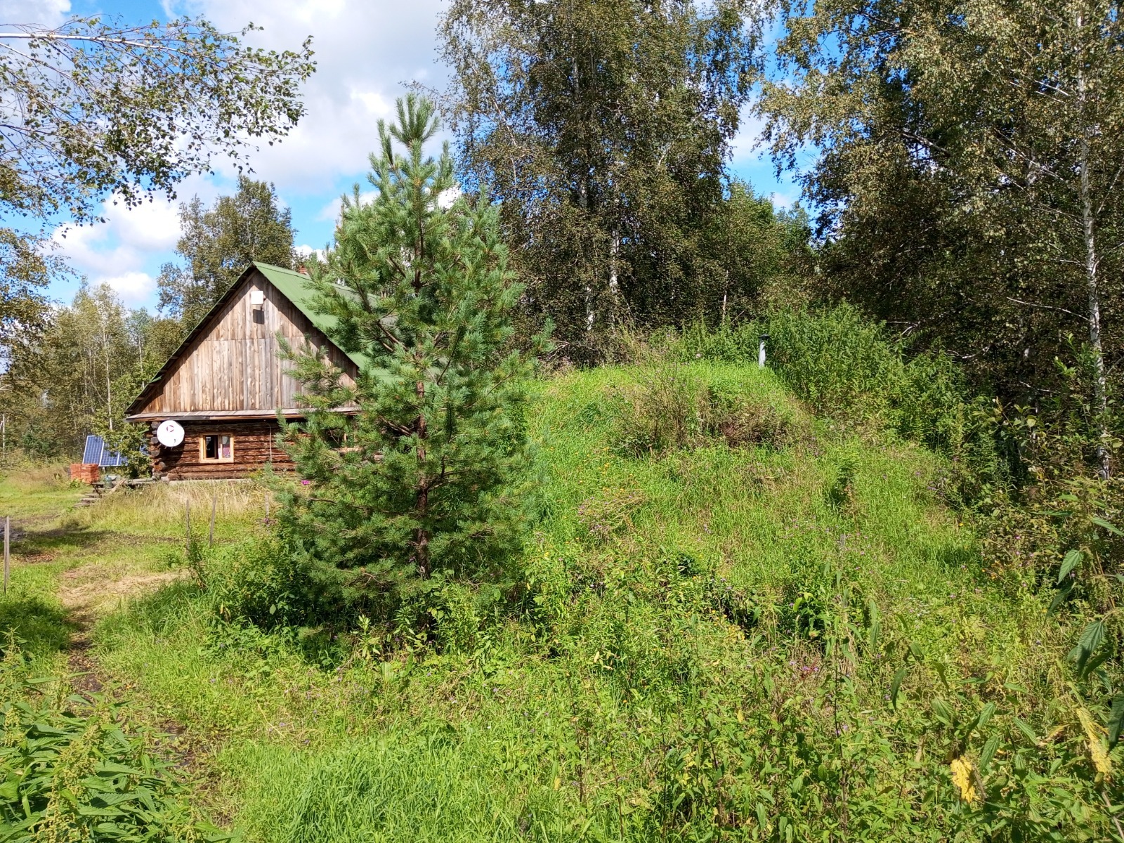 Евгении Сюткиной.