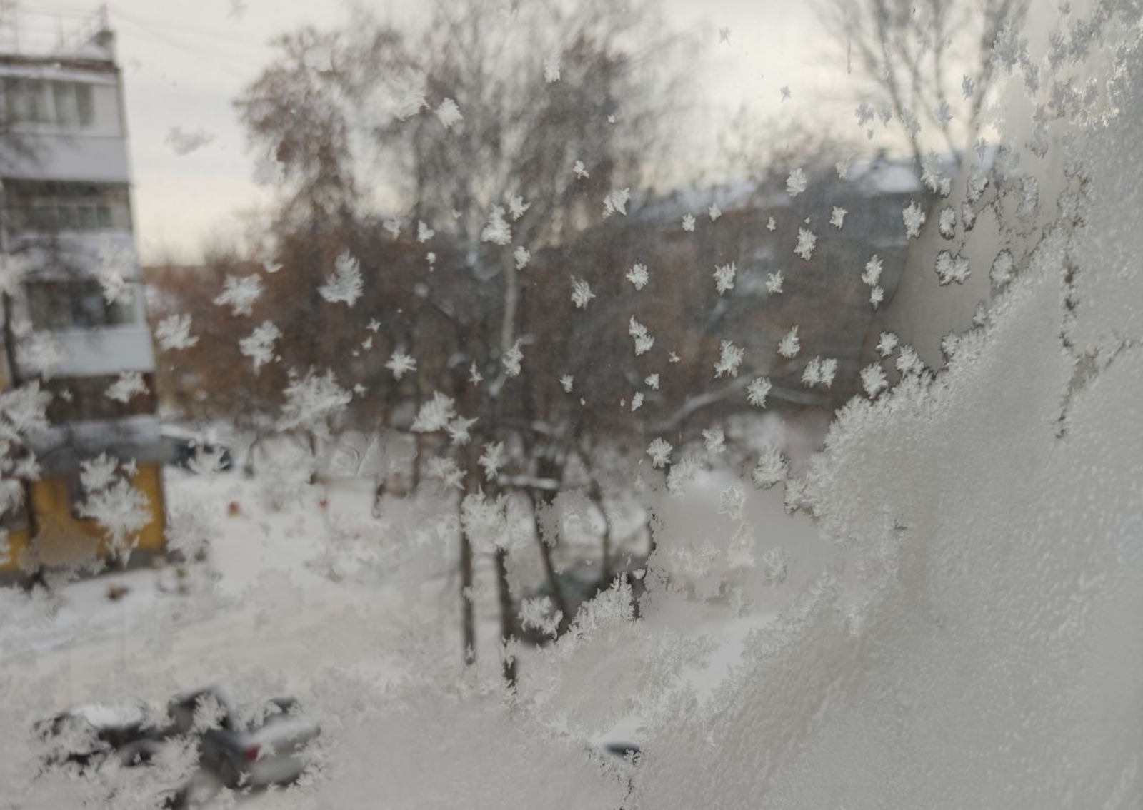 Дарьи Святохиной.