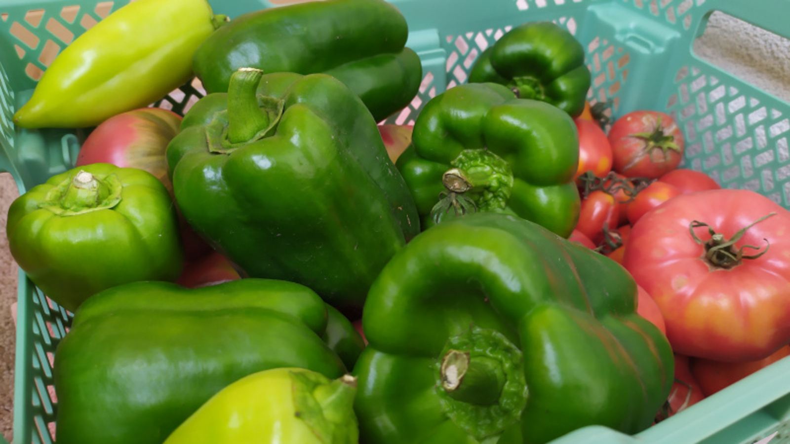 Фото Васили Саитовой.