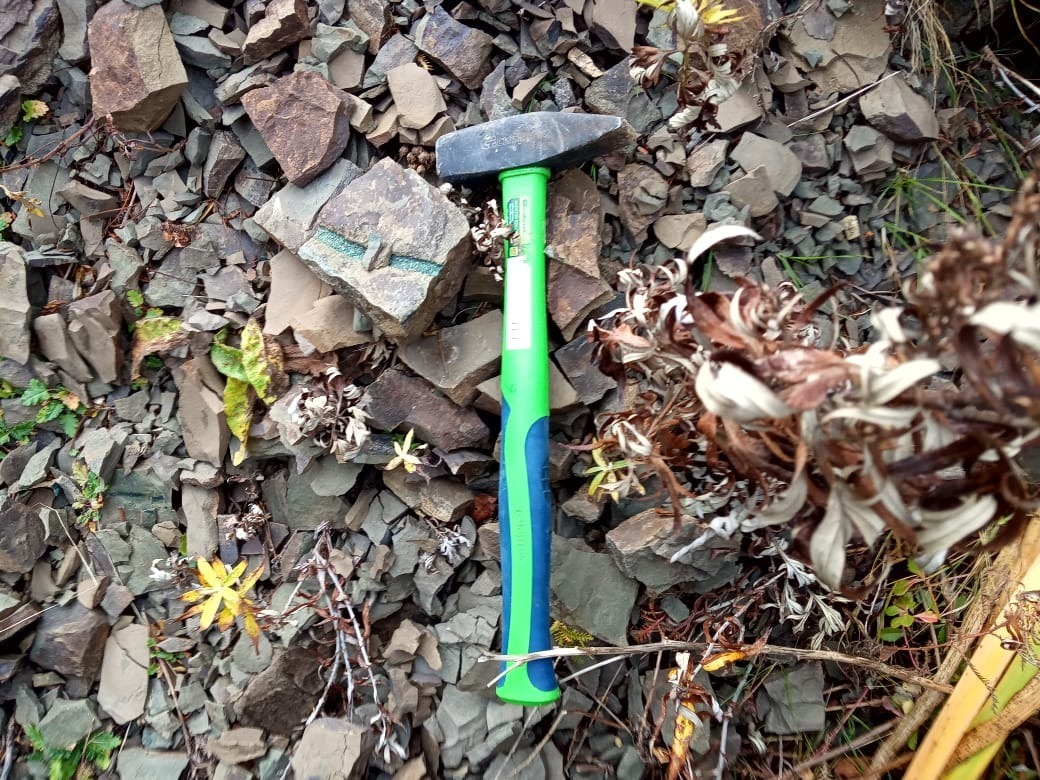 предоставлено Сергеем Сиротой.