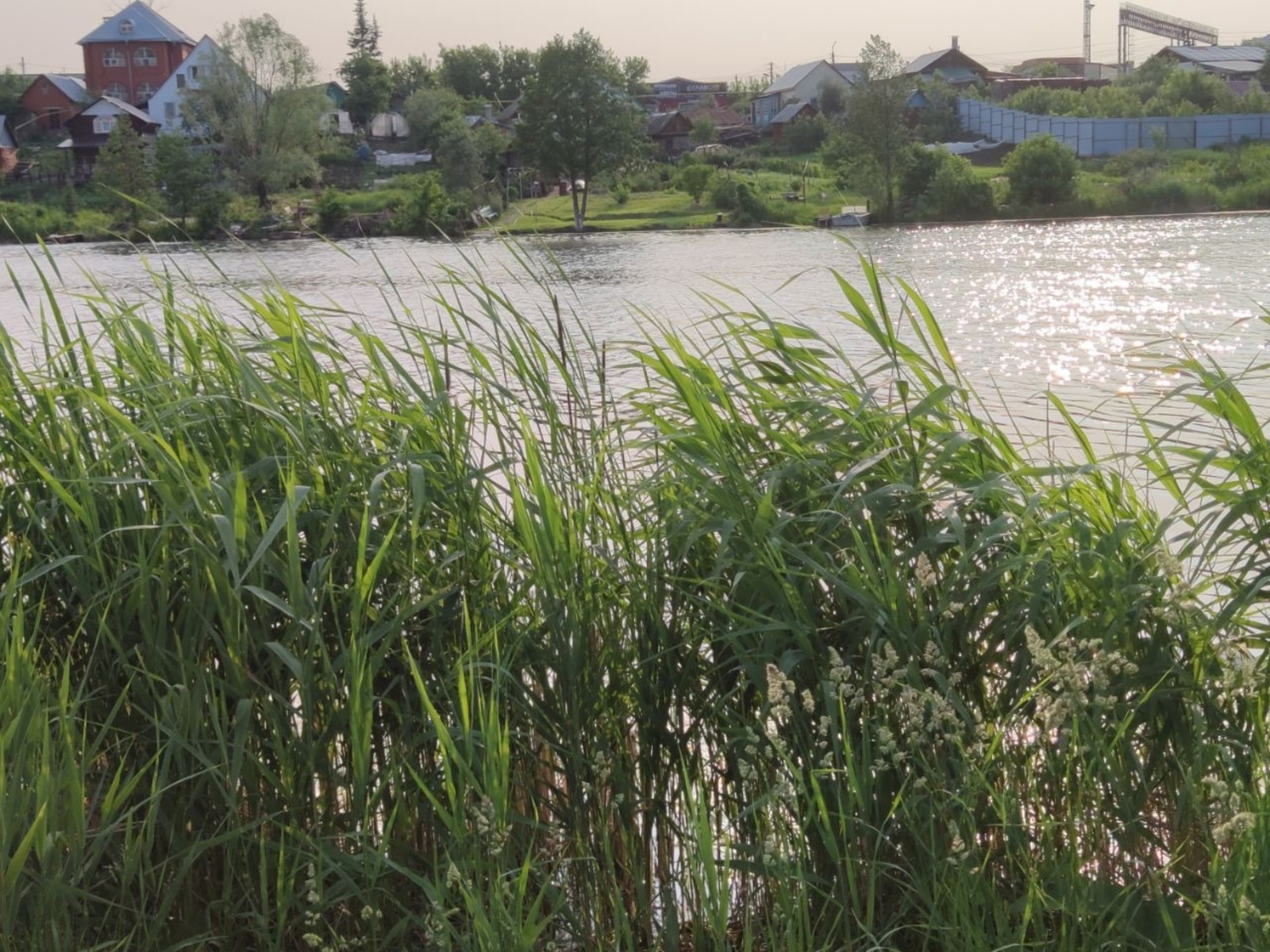 Дарьи Святохиной.