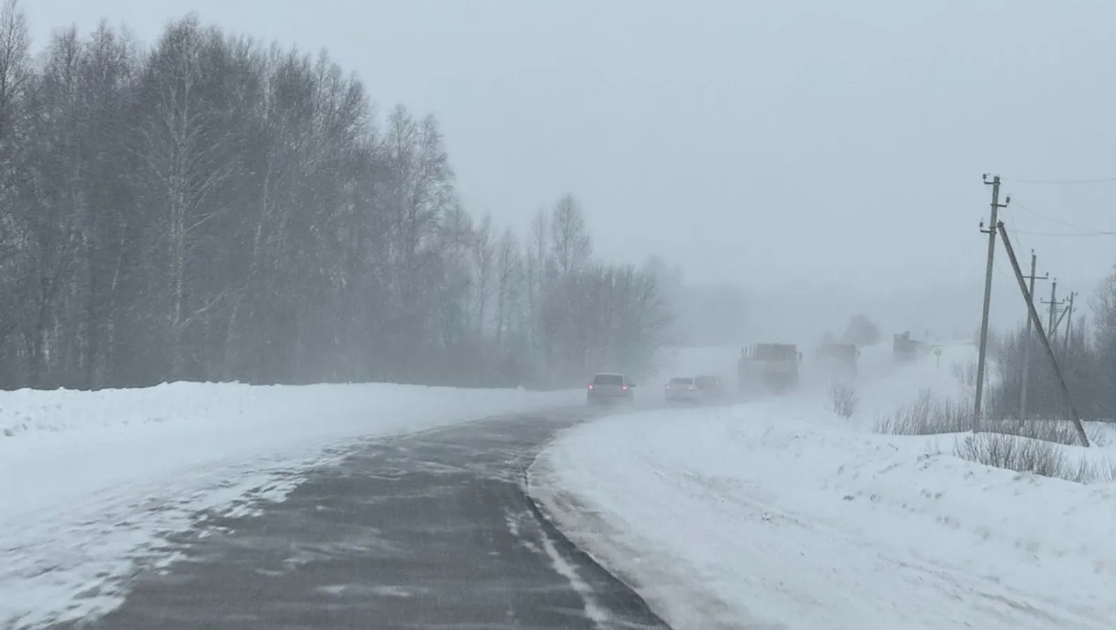 Елены Колоколовой.  «Общественная электронная газета».