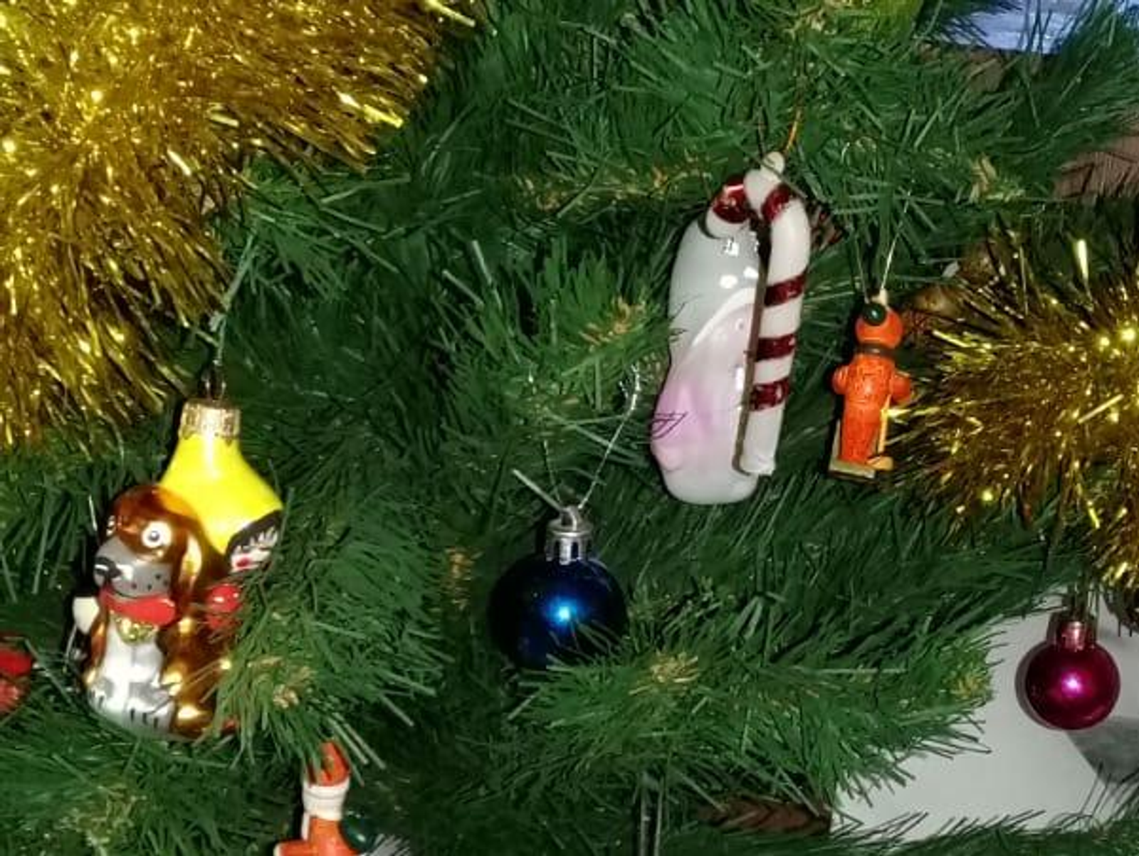 Фото Васили Саитовой.