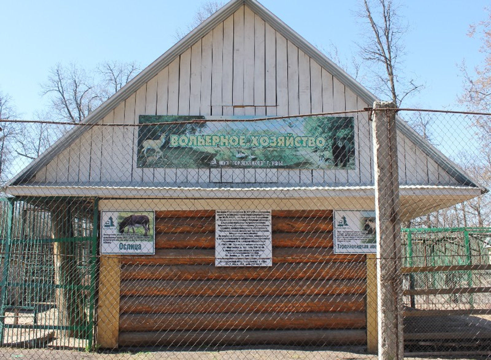 Фото автора.