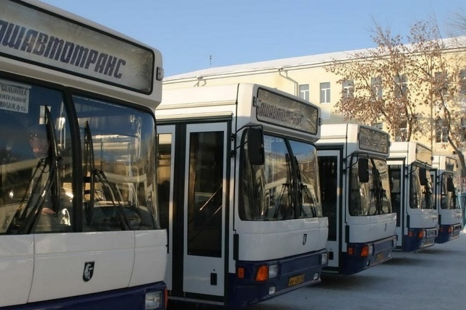 Фото Олега Яровикова.