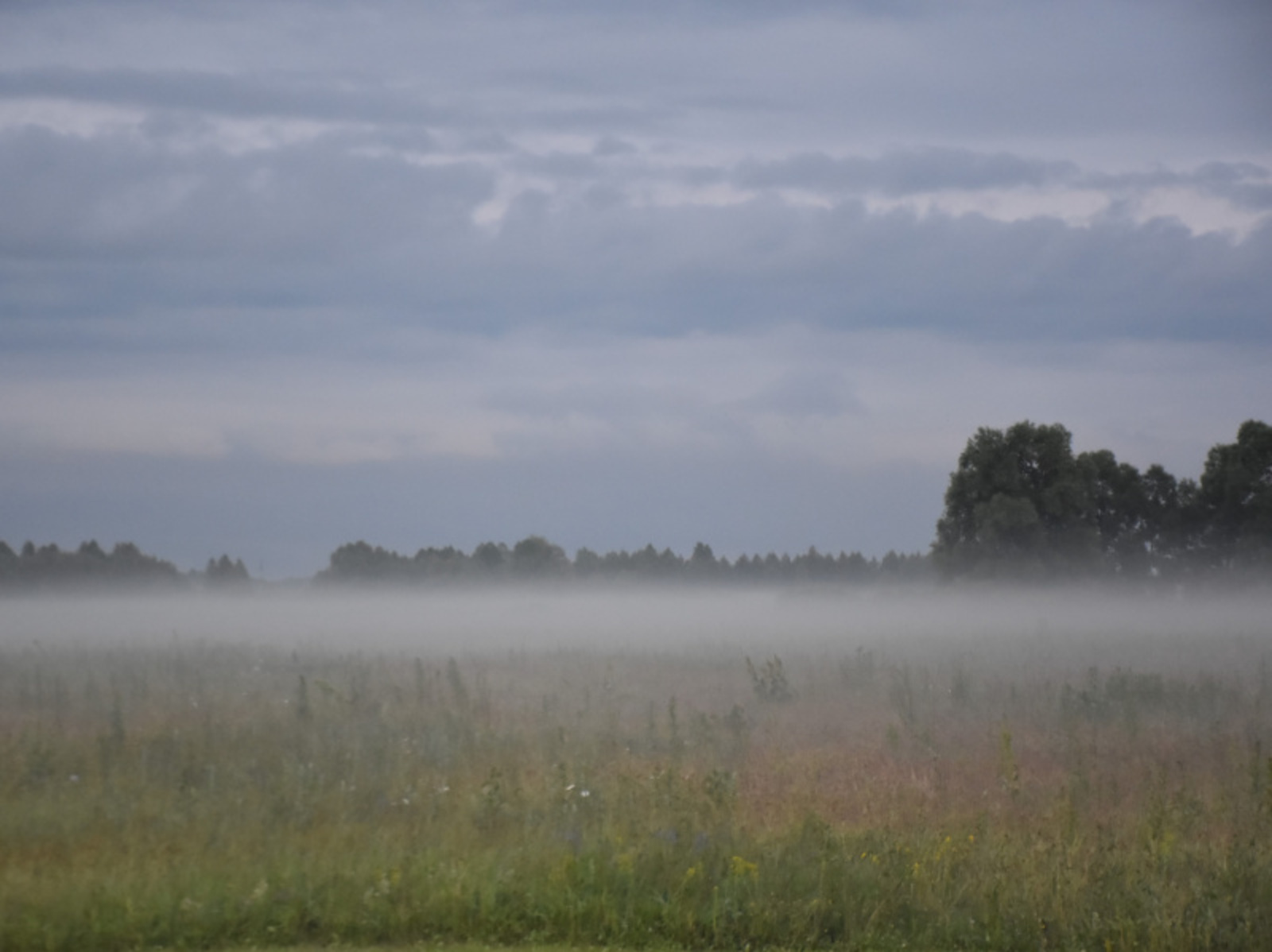 Фото Елены Колоколовой.