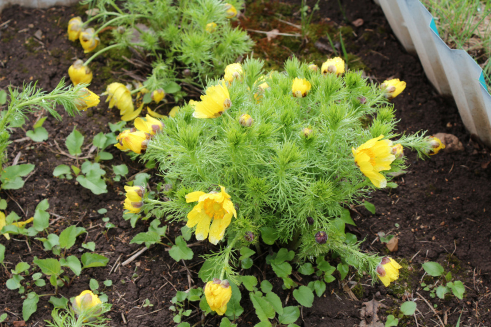 Фото автора.