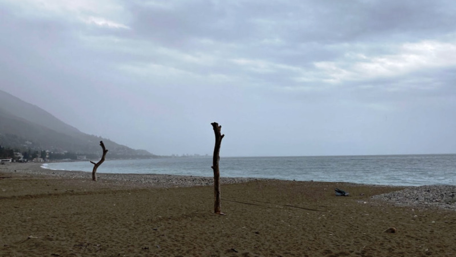 Елены Колоколовой.