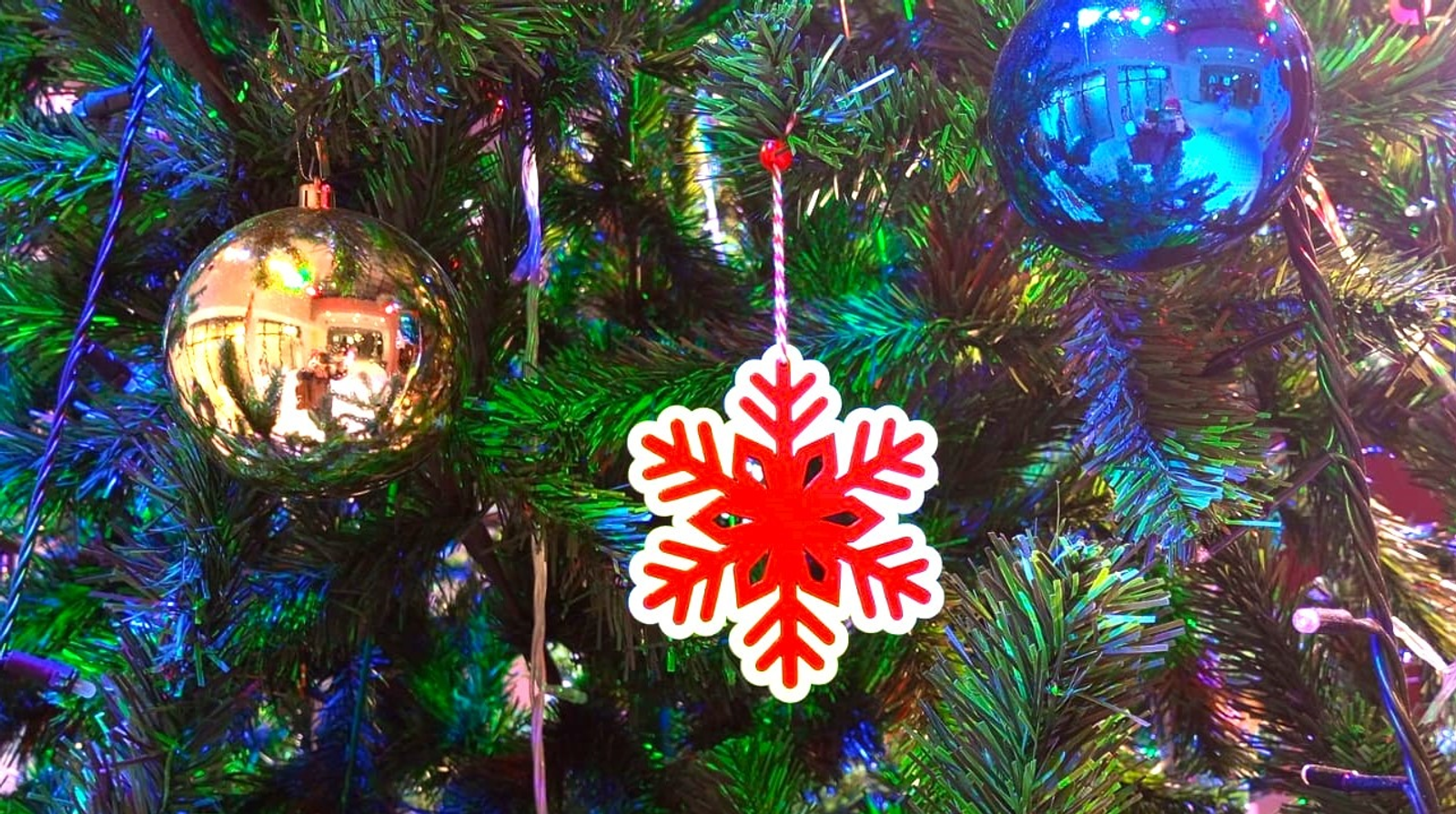 Евгении Сюткиной.