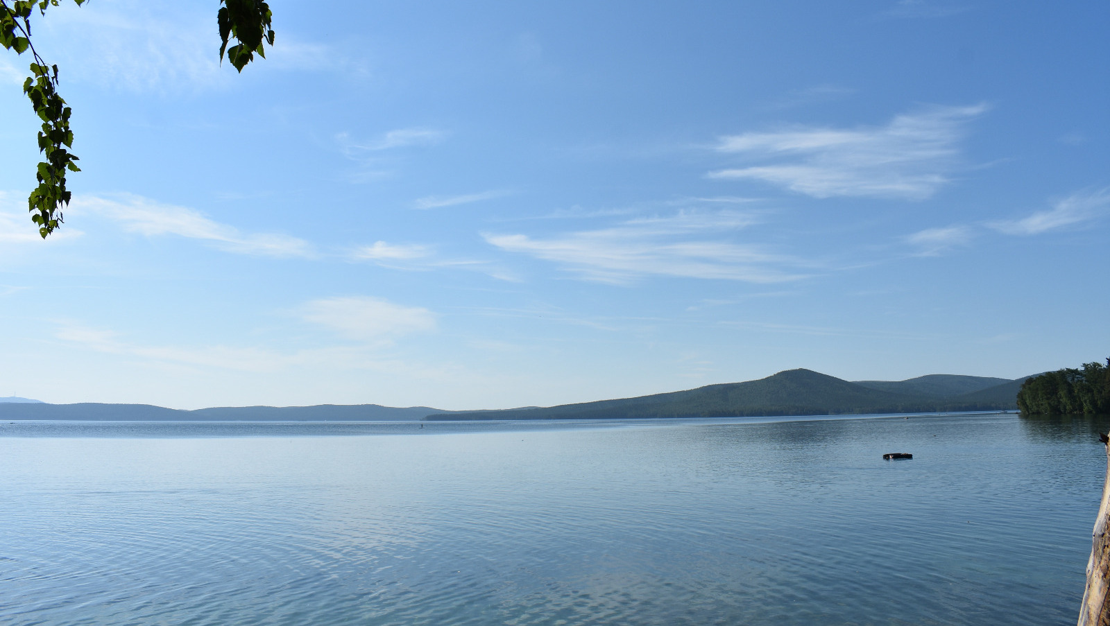 Елены Колоколовой.