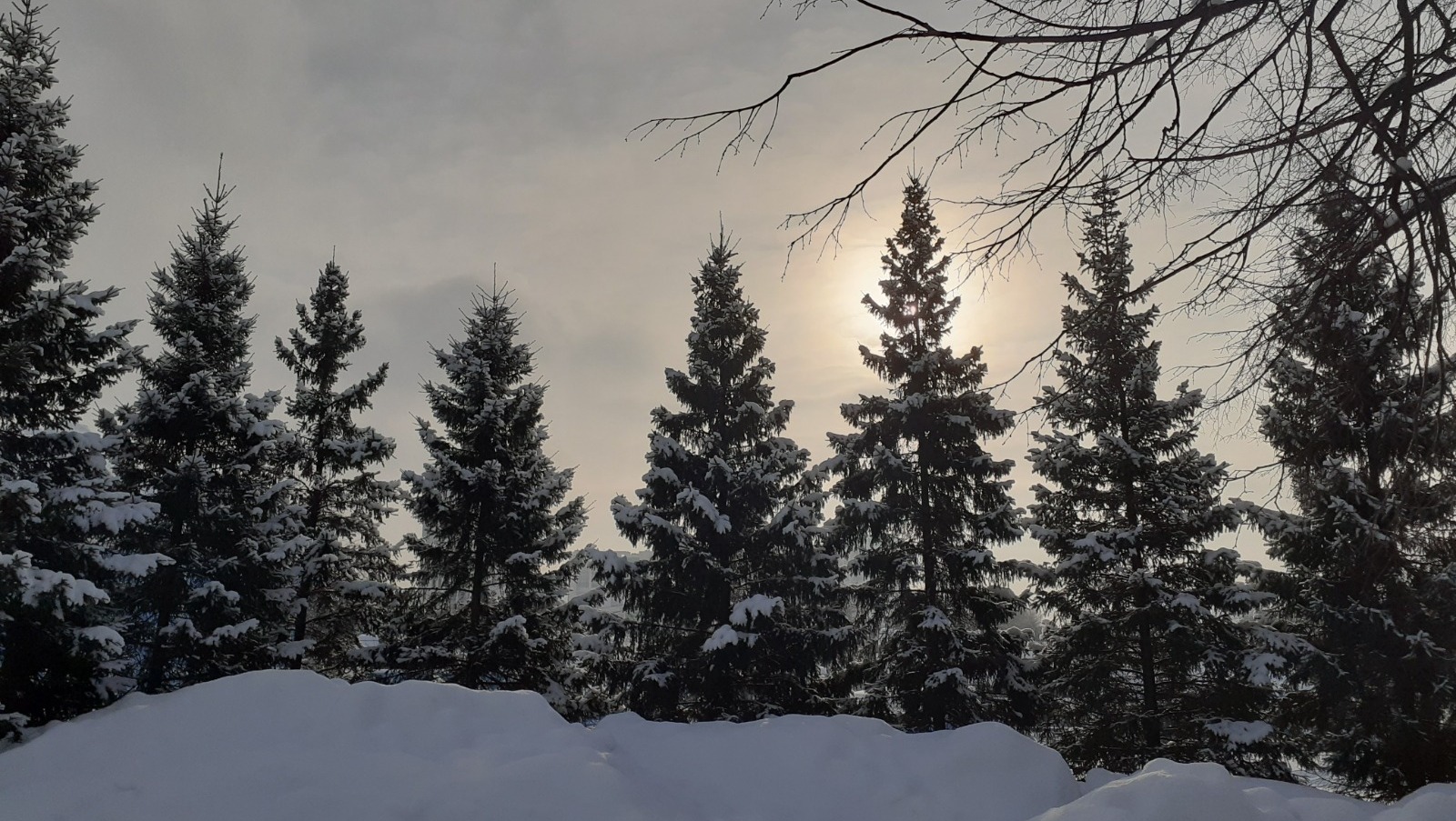 Владимира Шакиева. «Общественная электронная газета».