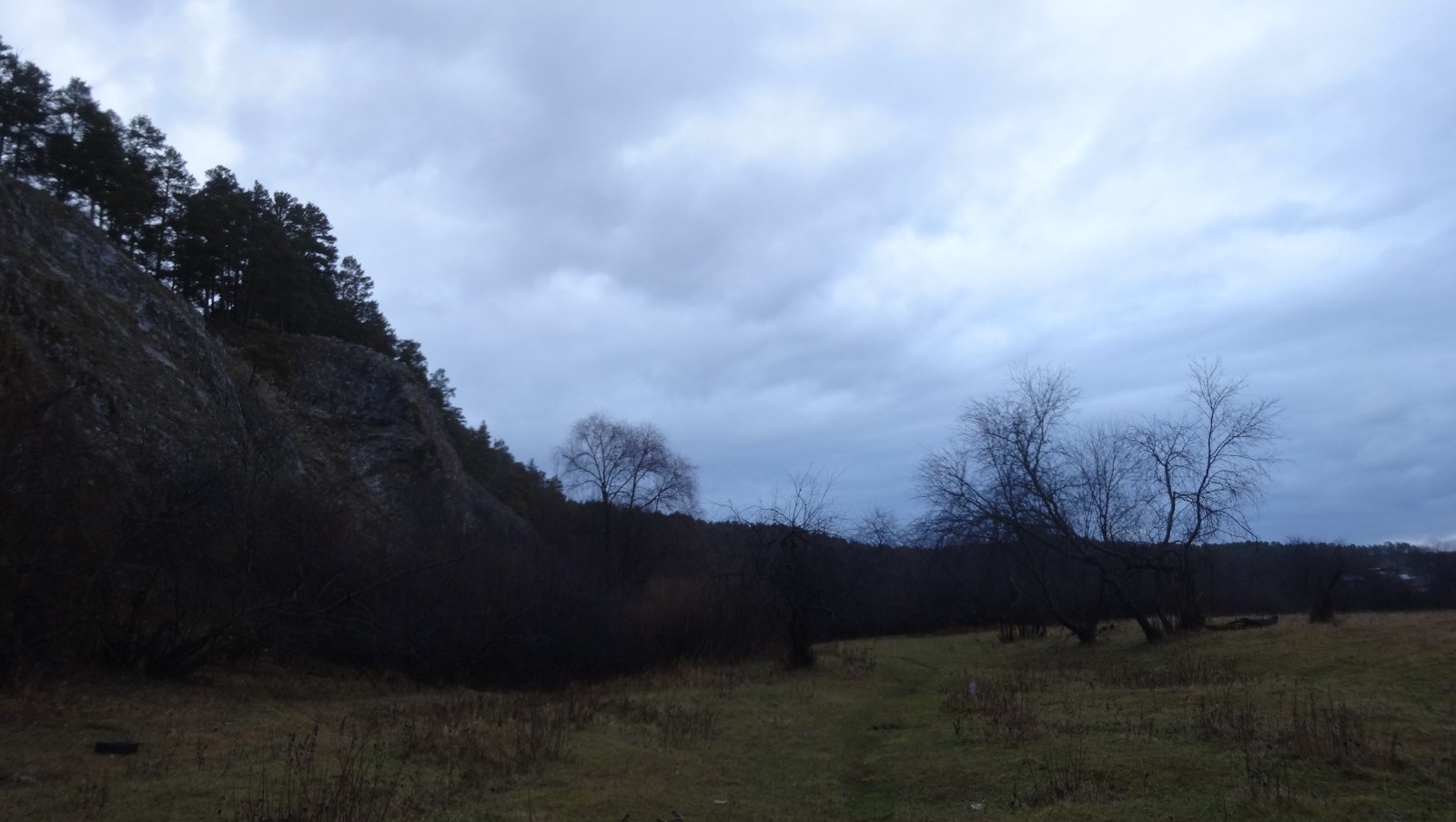 Елены Колоколовой.  "Общественная электронная газета".