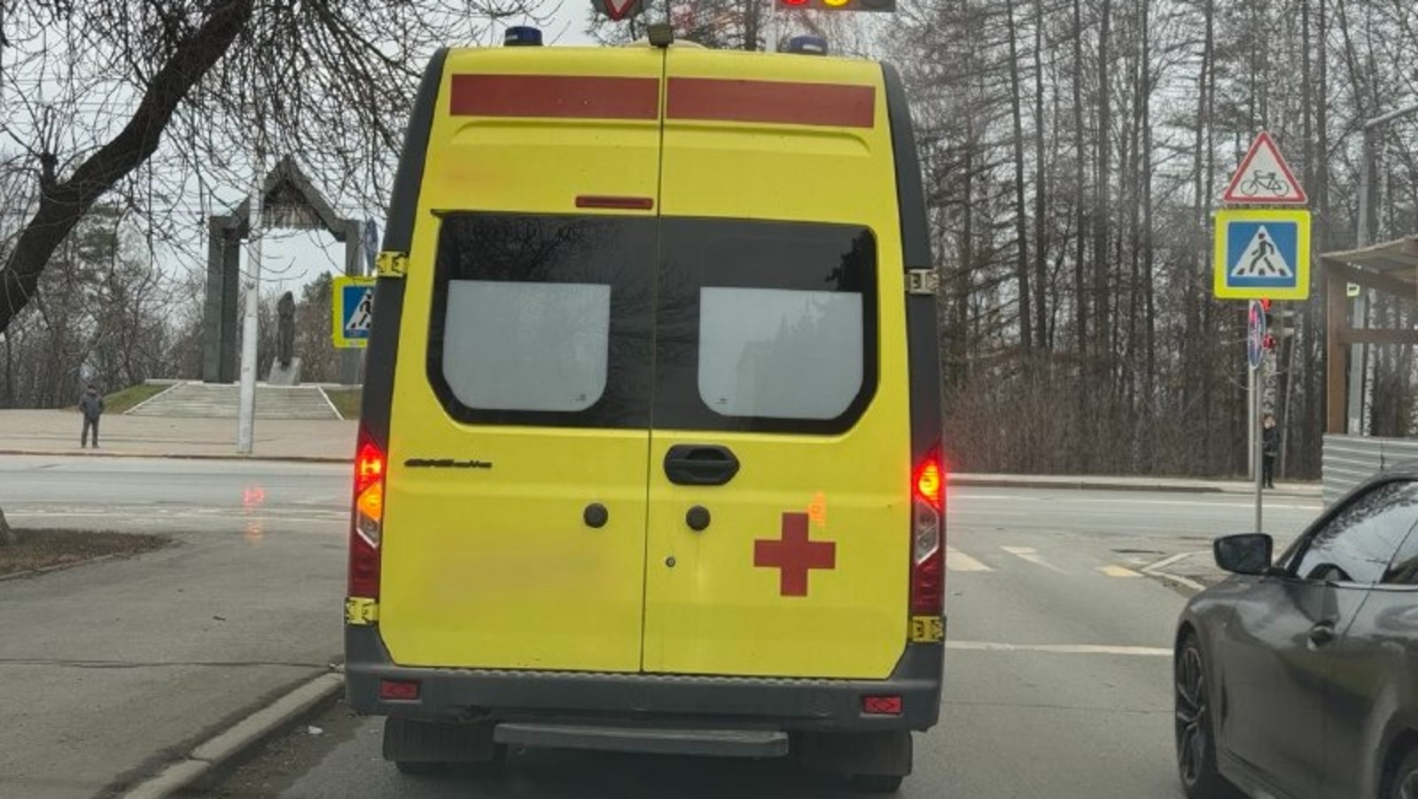 Елены Колоколовой.  «Общественная электронная газета».