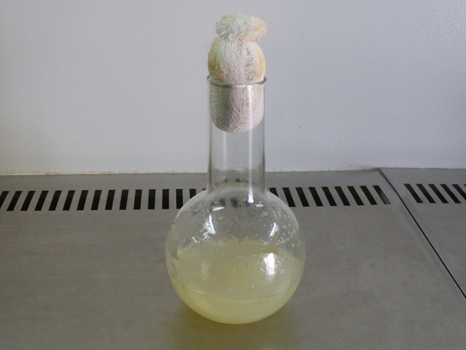 Фото предоставлено Олегом Логиновым.