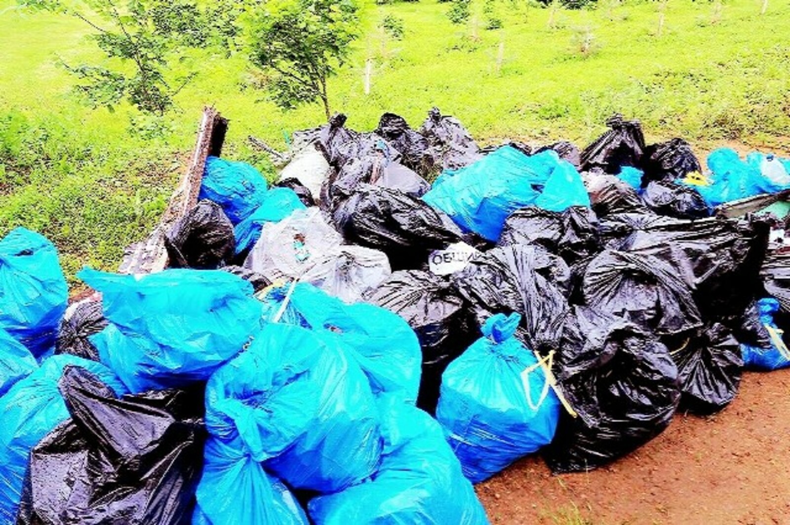 Фото предоставлено Еленой Воробьевой.