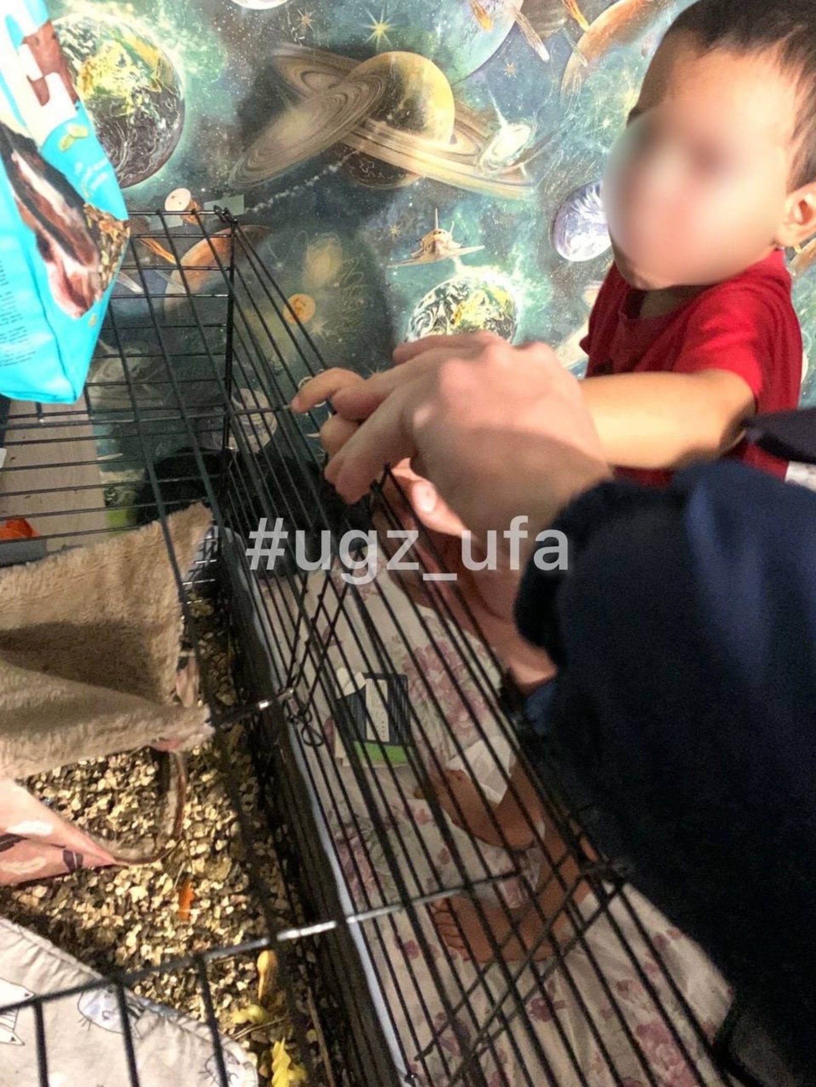 Telegram Управления гражданской защиты Уфы. Telegram Управления гражданской защиты Уфы.