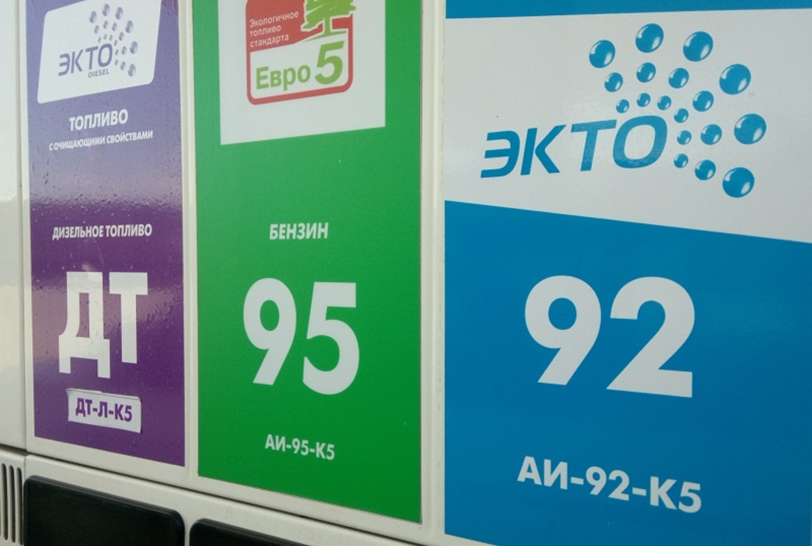 Фото Васили Саитовой.