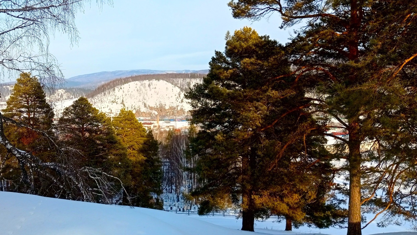 Евгении Сюткиной.