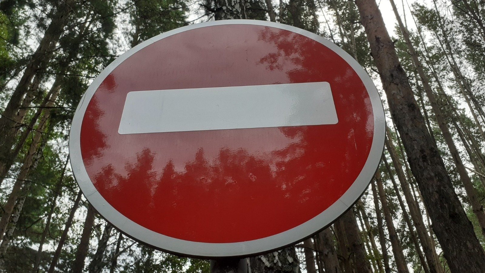 Владимира Шакиева.