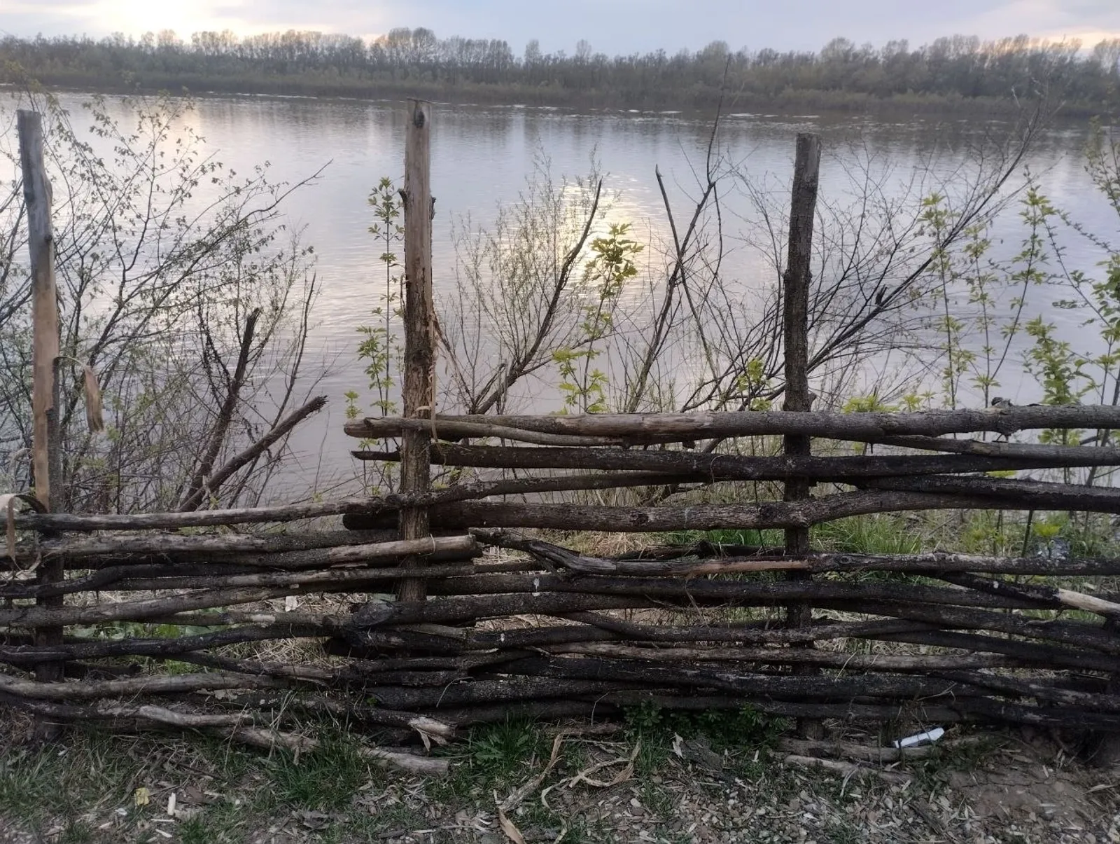 Васили Саитовой. «Общественная электронная газета».