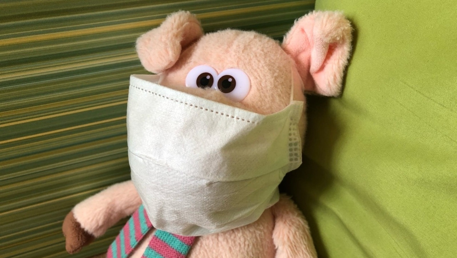 Елены Колоколовой.