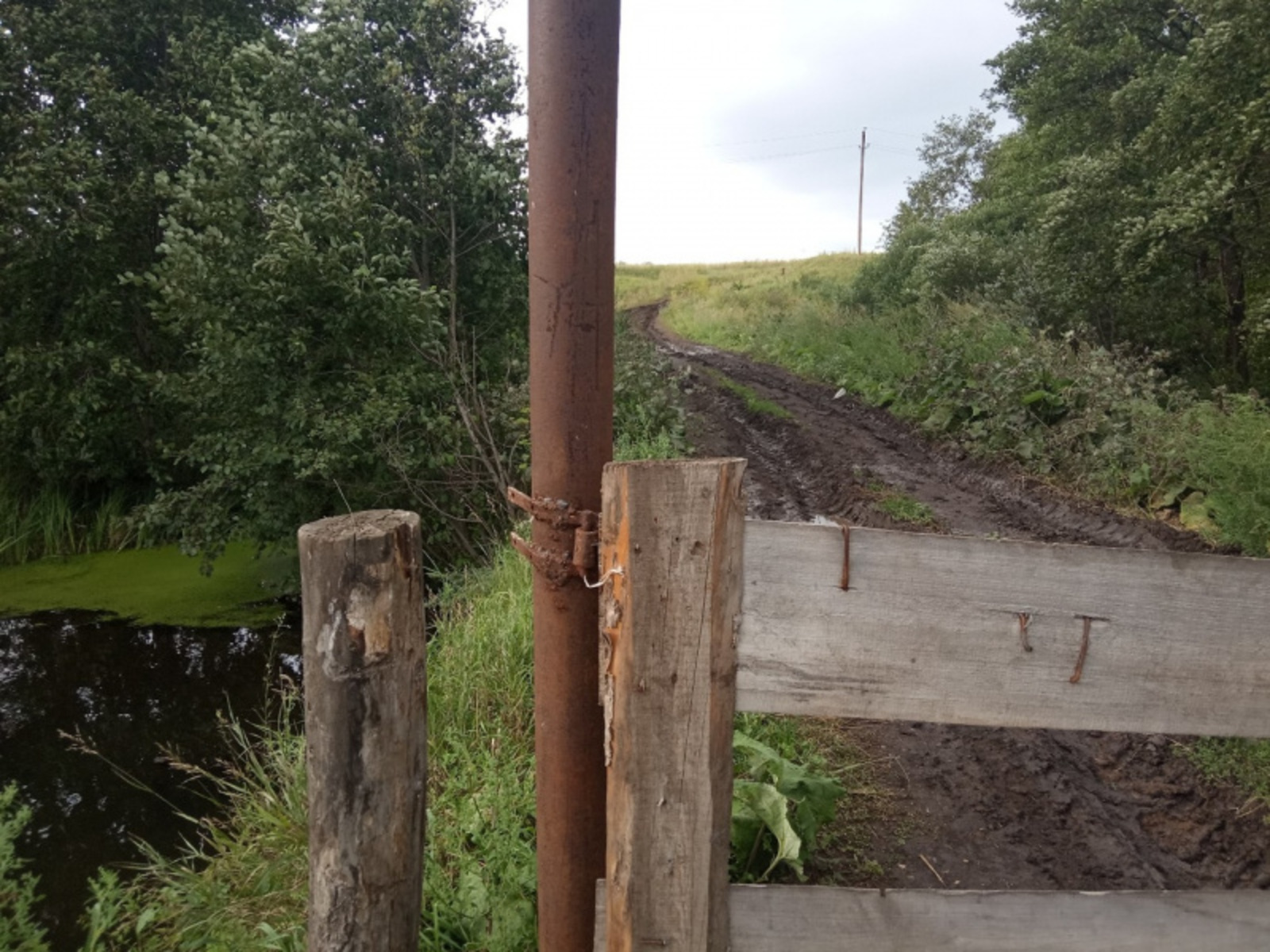 Фото предоставлено Дианой Демидовой.