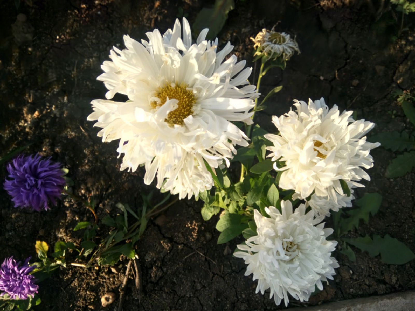 Фото Васили Саитовой.