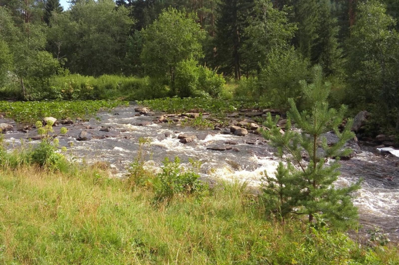 Фото автора.