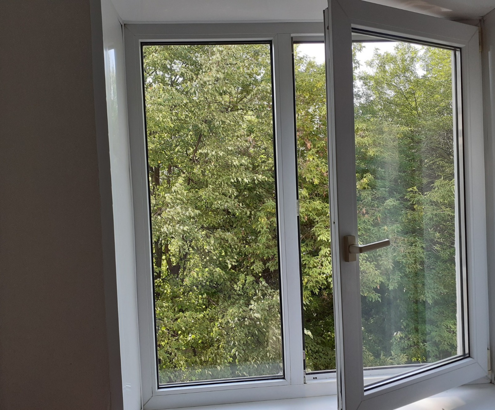 Владимира Шакиева.